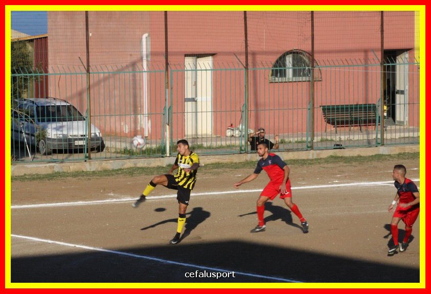 181111 Cepha_Milazzo 122_tn.JPG